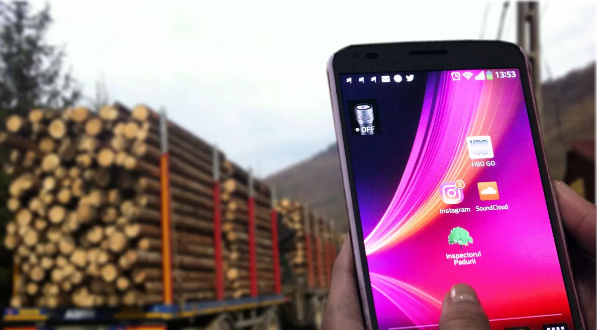 Codrul, frate cu telefonia: Hoţii de păduri, vânaţi de cetăţeni cu o aplicaţie specială de pe mobil