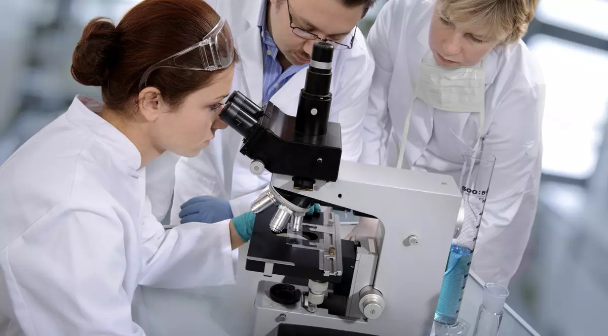 Miliardarii Bill Gates și Richard Branson investesc în carne realizată din celule animale