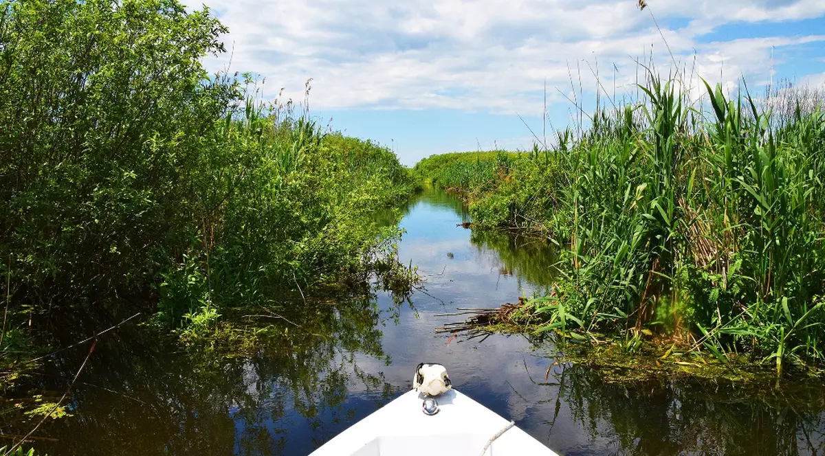 O barcă s-a lovit de un copac, în Delta Dunării