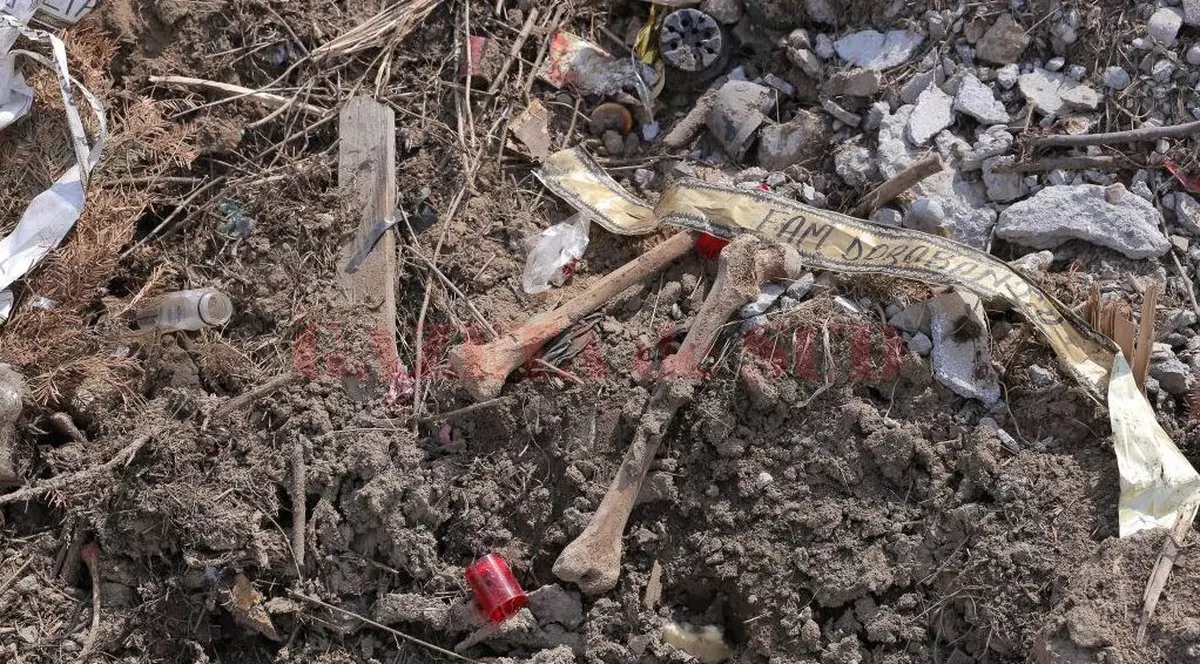 oase umane, descoperite într-un parc din Craiova
