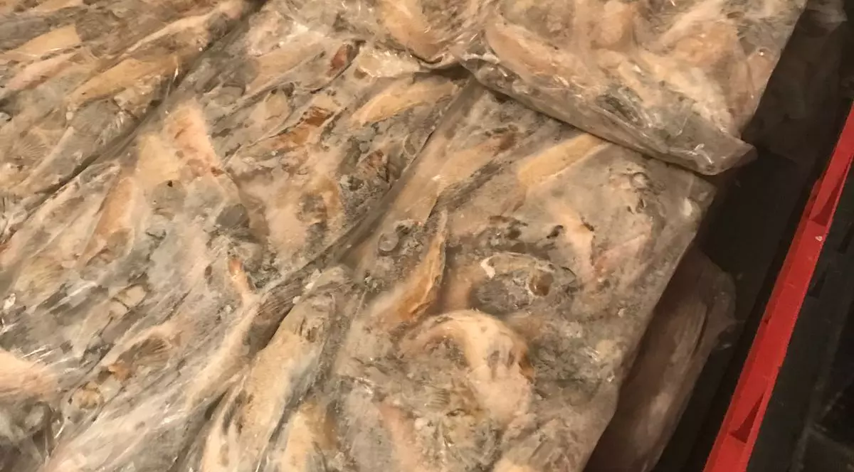 a fugit cu peștele expirat în timpul unui control