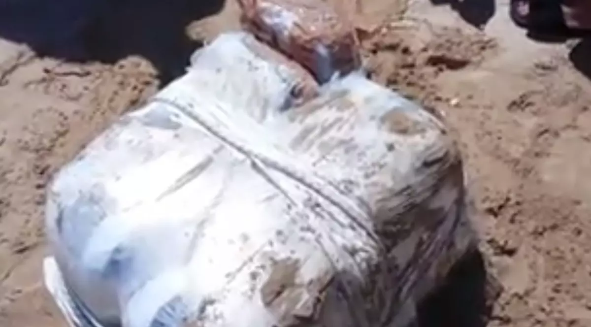 România, ”haltă” pe ruta balcanică drogurilor Până să ajungă la toxicomanul român, stupefiantele afgane sau sud-americane parcurg mii de kilometri cu vapoarele, cu mașinile sau cu avioanele