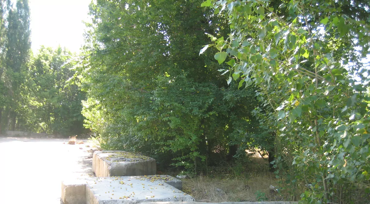 EXCLUSIV. Afacerea “Cântarea României” din centrul Bucureștiului: 74 de milioane de euro, dați pe… corcoduşe