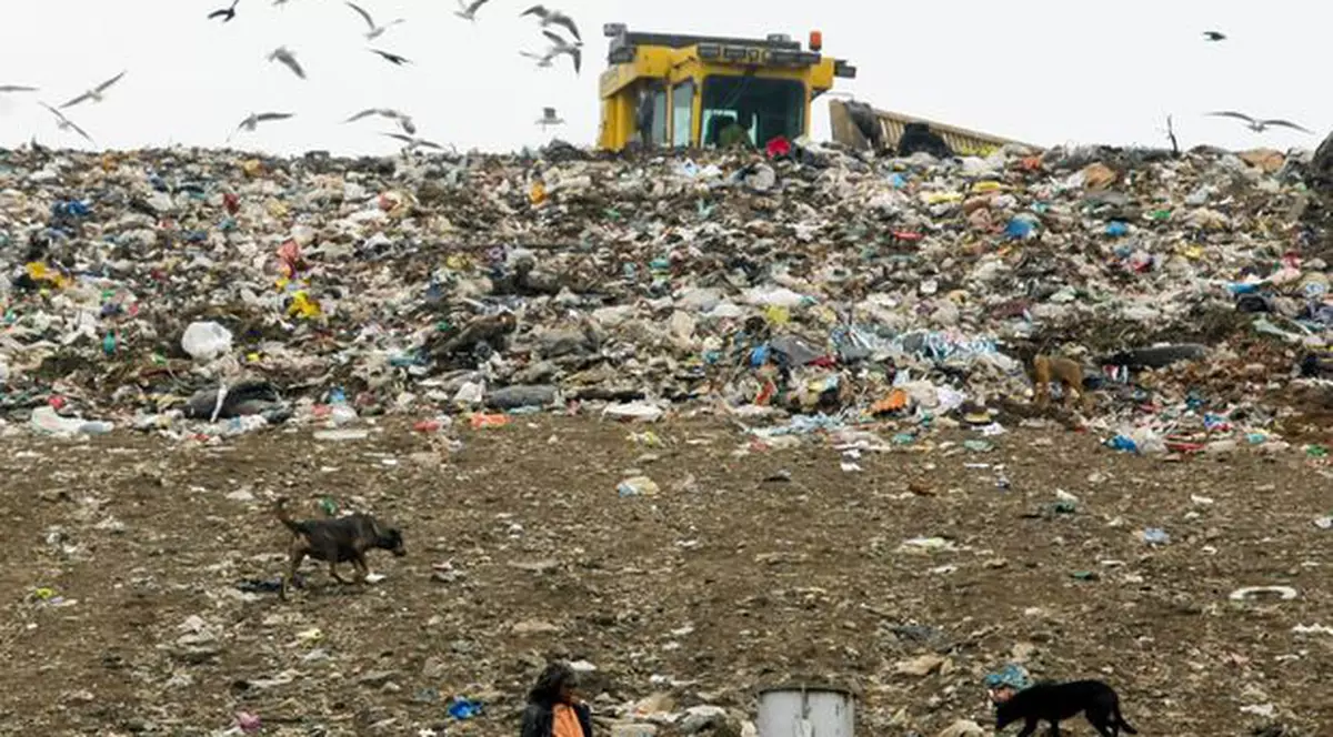 IPP: Actualul Guvern, vinovat de întârzierea îndeplinirii țintelor de valorificare deșeuri asumate de România în fața UE