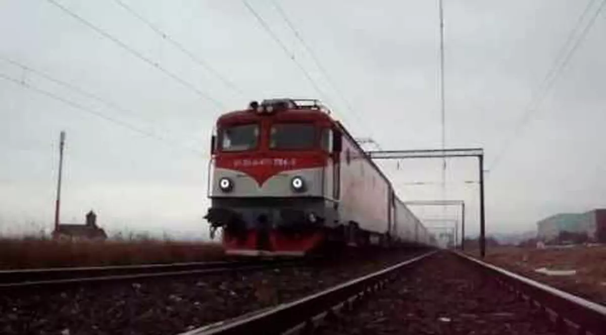 Trenuri oprite în stații din cauza copacilor căzuți pe calea ferată