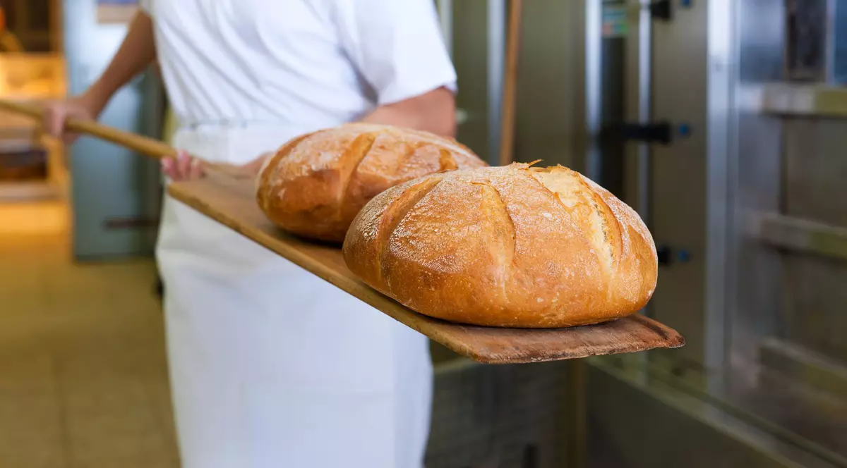 Când a apărut pâinea