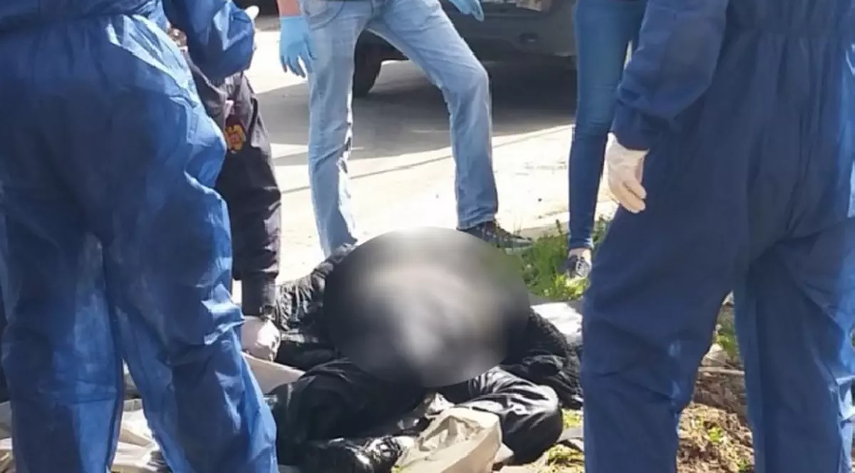 Un bărbat a fost mâncat de porci în Satu Mare. Detalii șocante, aflate de anchetatori