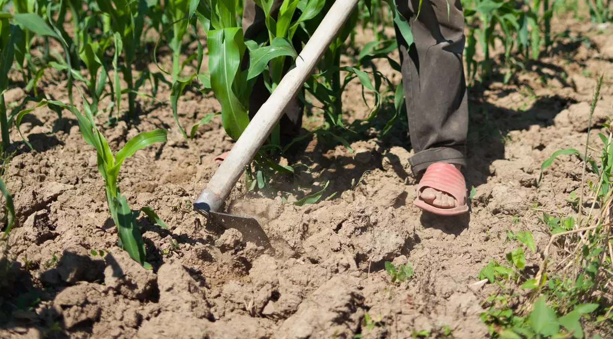 cei care lucrează fără acte