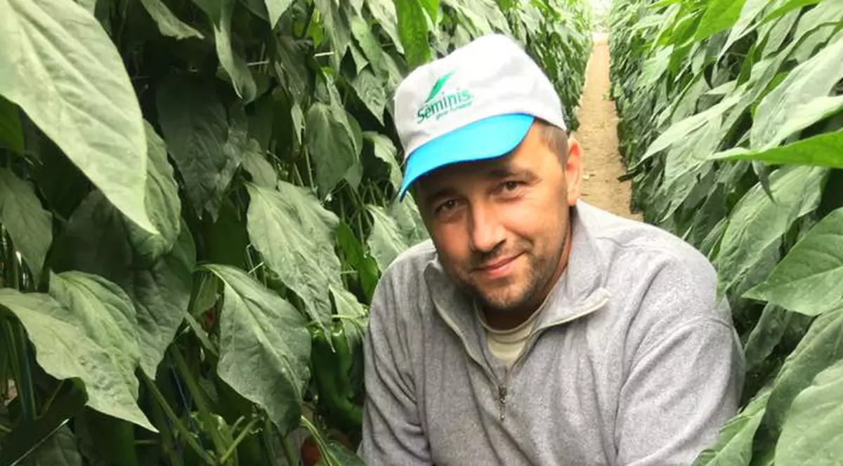 Un bărbat din Suceava cultivă roșii negre