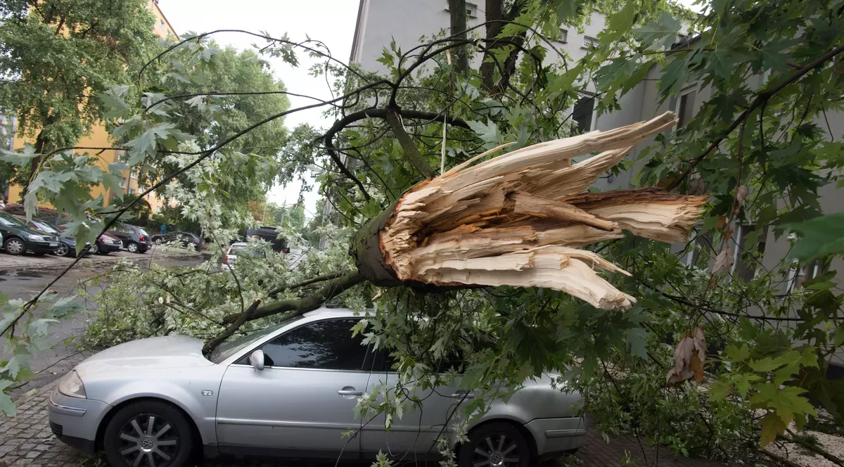 Furtuni violente în Polonia, soldate cu cinci morți. Zeci de copii dintr-o tabără de cercetași au fost răniți