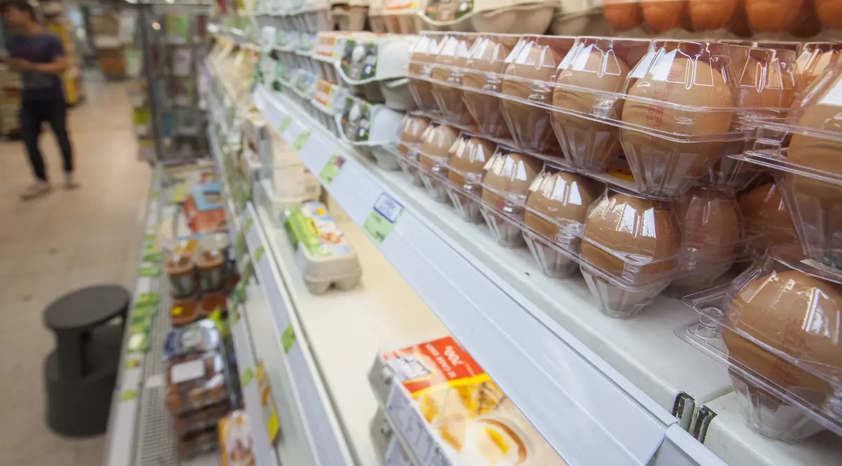 Scandalul ouălor contaminate ia amploare. Fipronilul ar fi fost importat ilegal din România