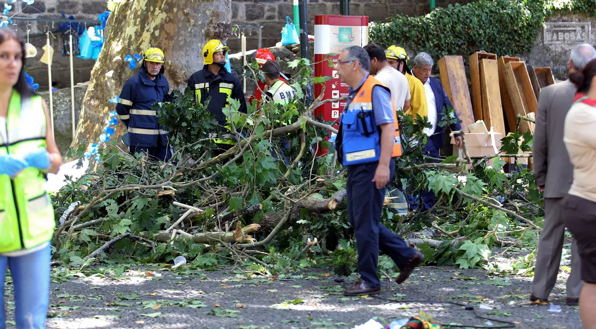VIDEO | Tragedie în insula Madeira! 12 oameni au fost omorâți de un copac care a căzut peste ei