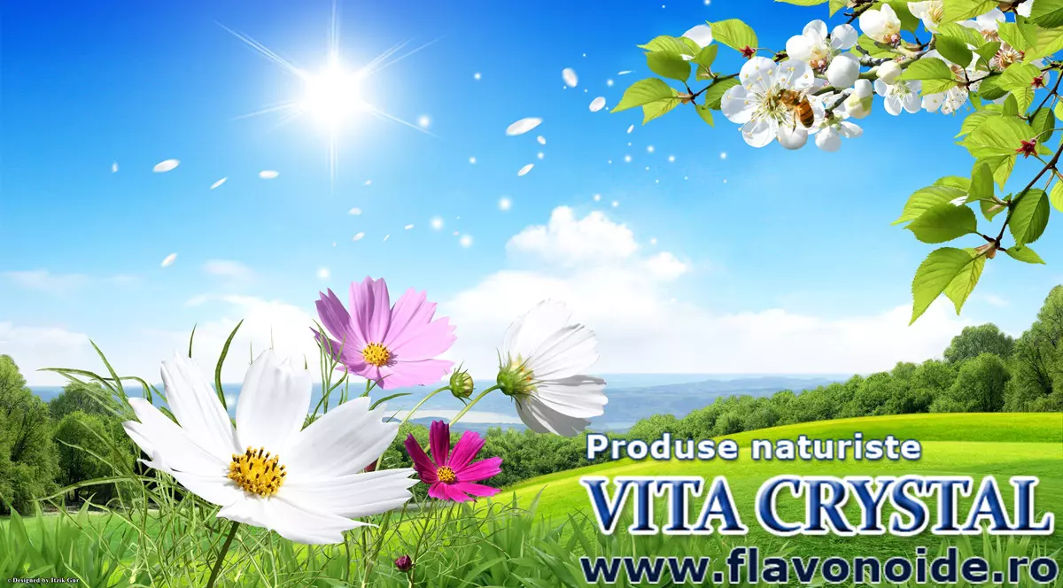 (P) Vita Crystal lansează dupa 10 ani noul olimpiq stemxcell cu 250%