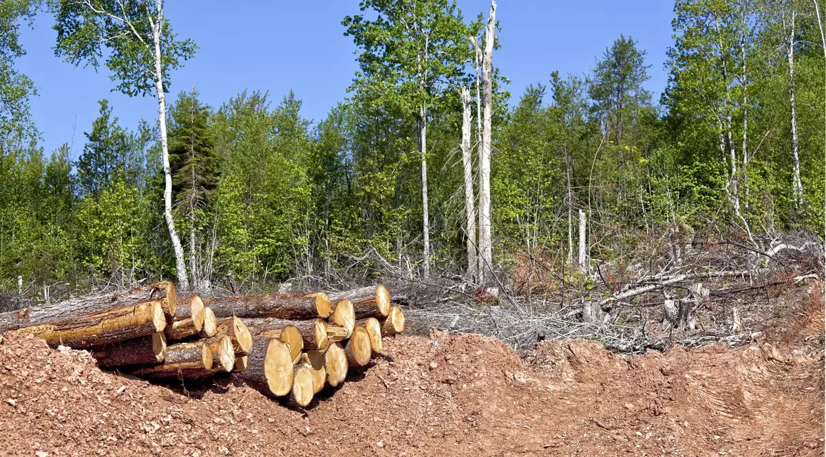 Bărbatul rănit grav a fost preluat de un elicopter SMURD și dus la un spital din Târgu Mureș.