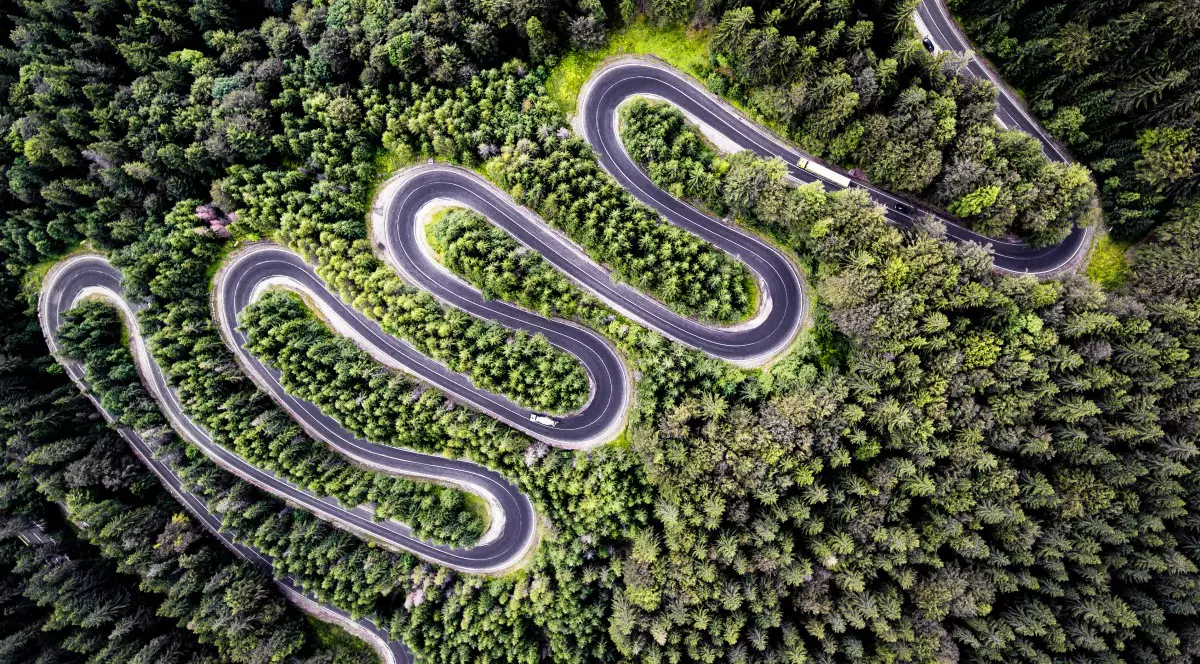 O fotografie aeriană din dronă, realizată în Pădurea Bogății, pe drumul dintre Brașov și Sighișoara, a câștigat premiul al doilea al unui concurs de profil