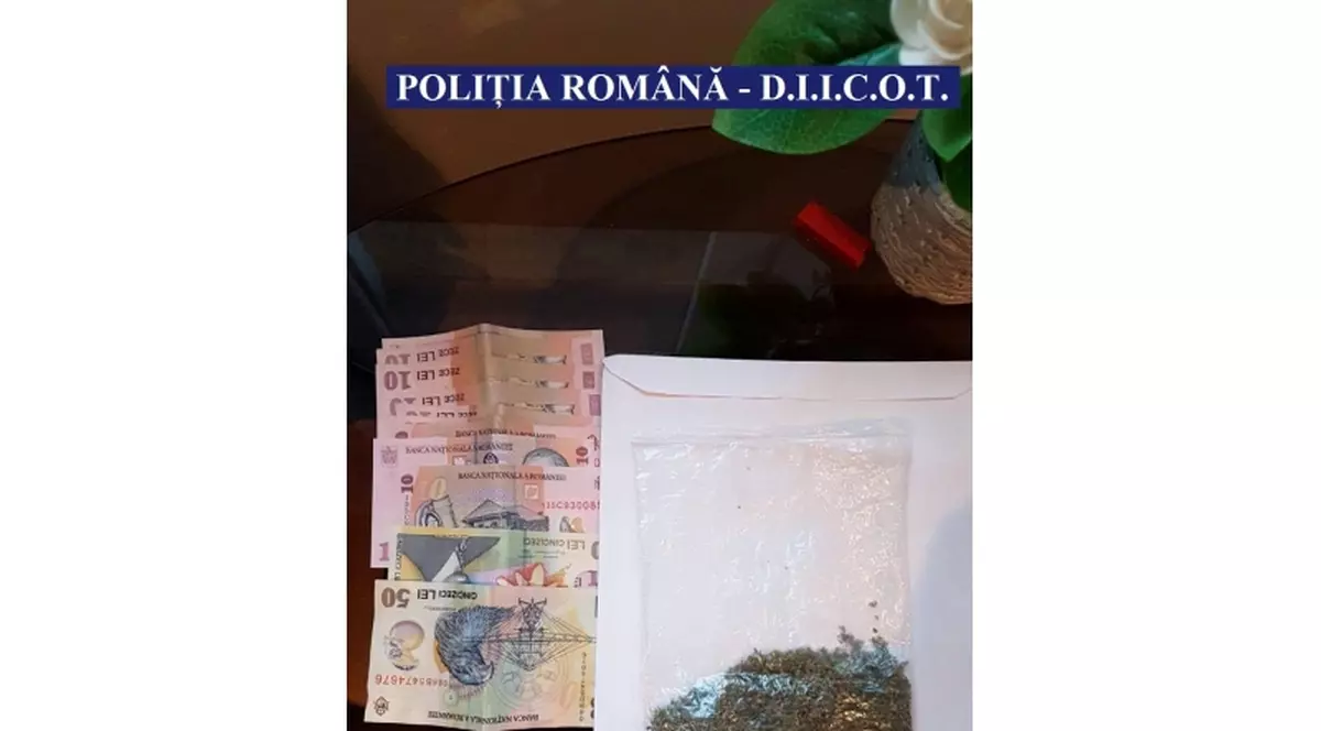 DIICOT a declanșat operațiunea „Șoricioaica”: 4.500 de doze de droguri confiscate și 9 persoane ridicate pentru audieri