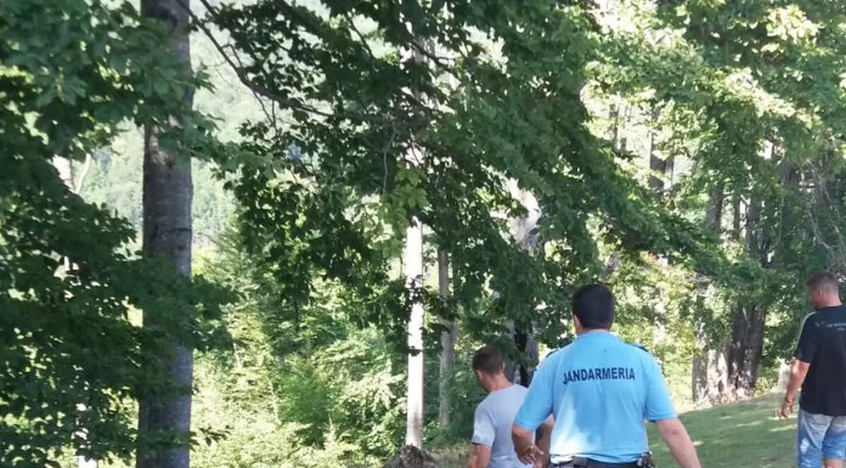 Urșii agresivi vor fi împușcați