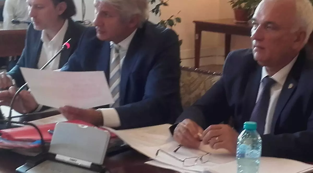 Ordonanța de modificare a Codului Fiscal, raport de admitere la Senat