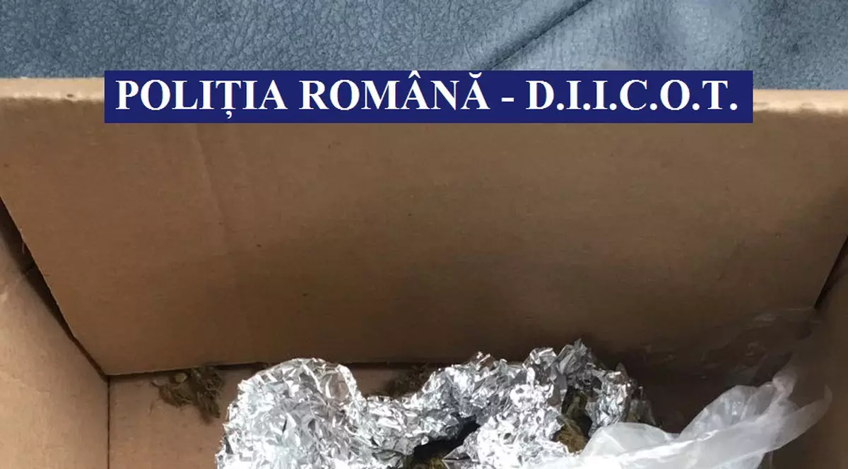Cannabis expediat din Spania, descoperit la Galați