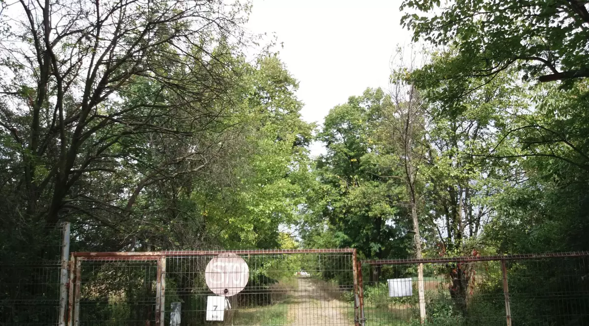 Ferma Copiilor sau povestea trăită pe viu ”de la furcă în farfurie”, de la brazda tractorului la pâinea de pe masă, este acum în fază de proiect gândit pentru liceenii care învață la Colegiul Agricol ”Viaceslav Harnaj” din Capitală, dar și pentru studenți.