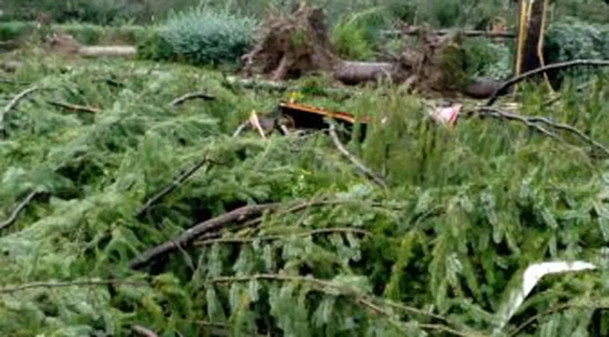 Stațiunea Moneasa din Arad, distrusă de furtună