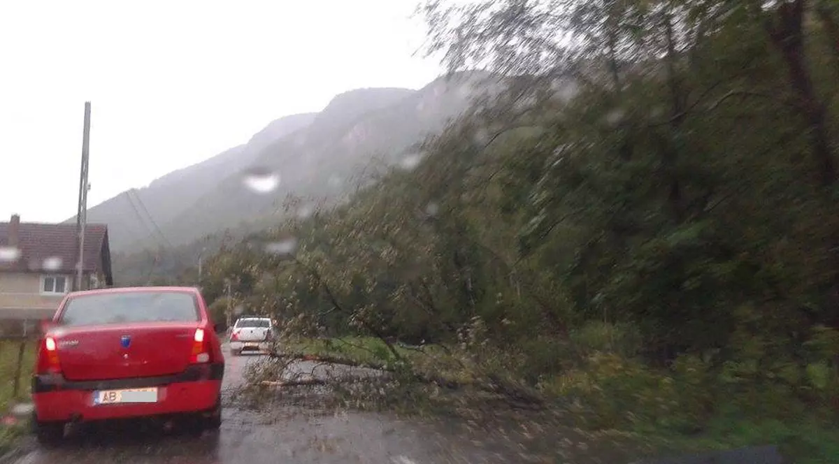 Zeci de turiști, blocați în zona ghețarului de la Scărișoara din cauza furtunii. Drumul e blocat de copacii culcați la pământ