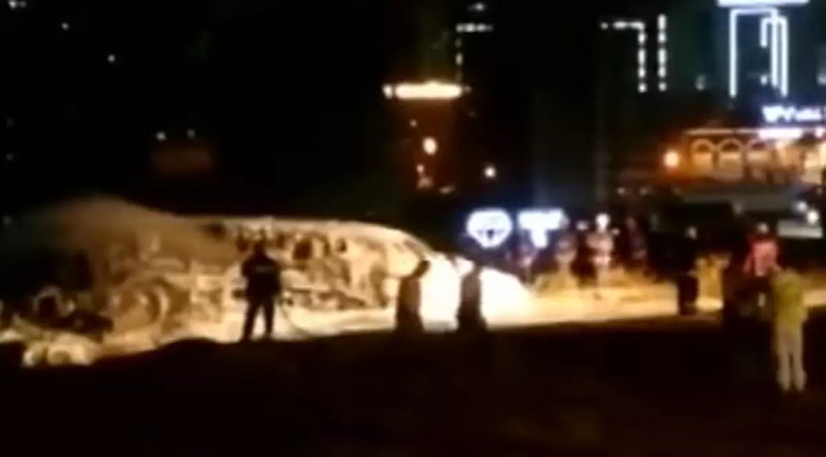 Accident aviatic în Istanbul. Un avion de mici dimensiuni s-a prăbușit și a luat foc