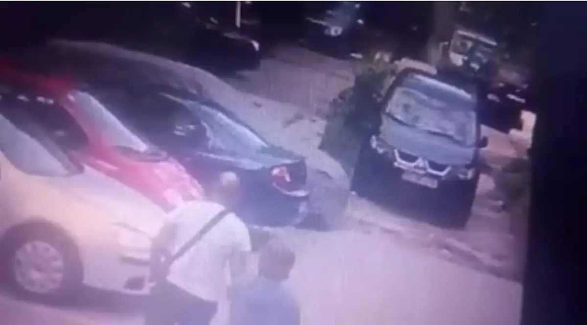 Un bucureștean a omorât intenționat un câine: : ”A tras de volan zbierând ca s-a săturat de căcat de câine!” | VIDEO