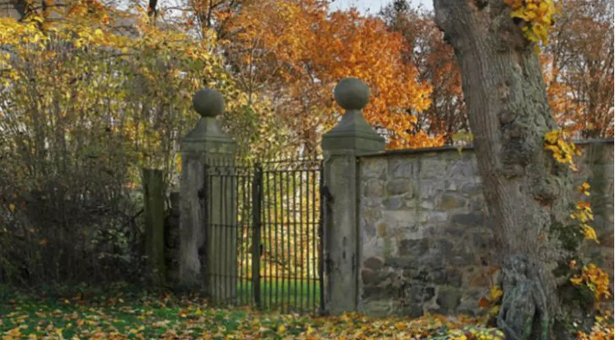 Iluzia optică ce a pus internetul pe jar. Poți vedea femeia din imagine?