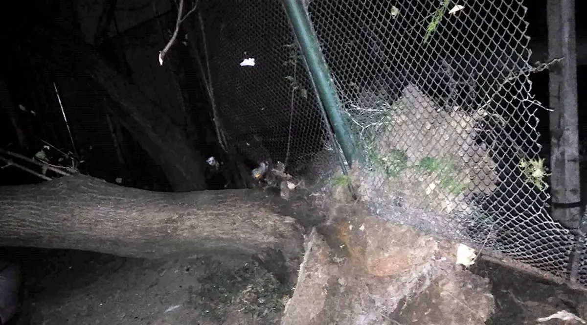 furtună în județul Caraș-Severin