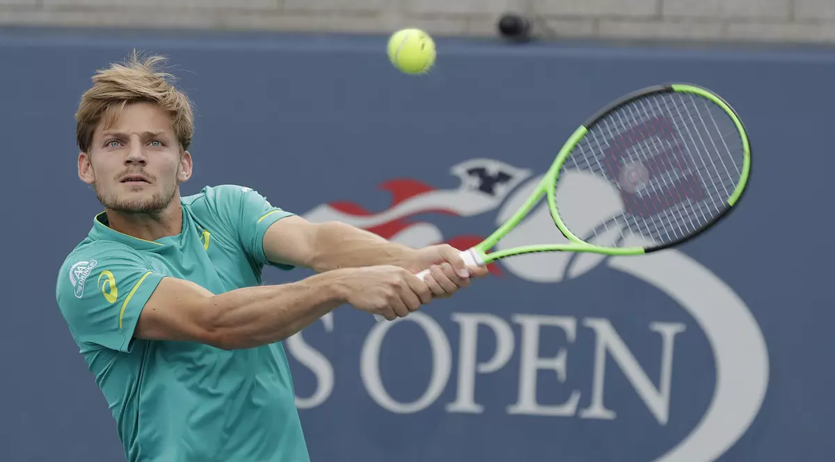 David Goffin