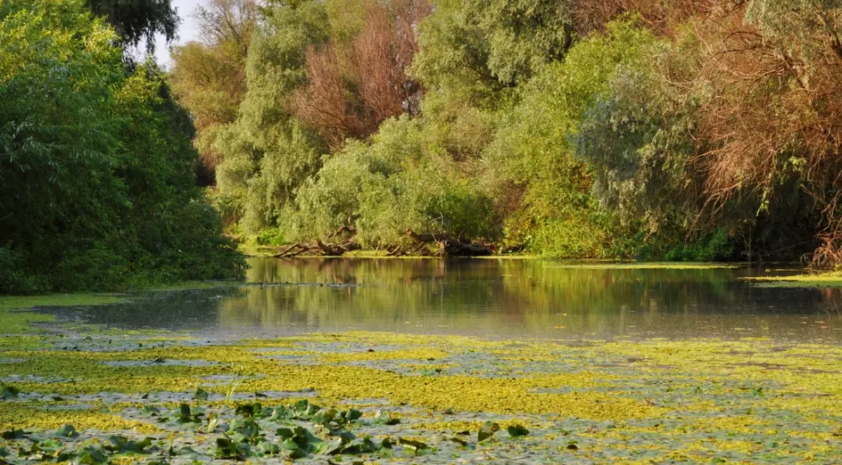 Profită de reducerile de pană la 45%. Descoperă Delta Dunării la început de toamnă!