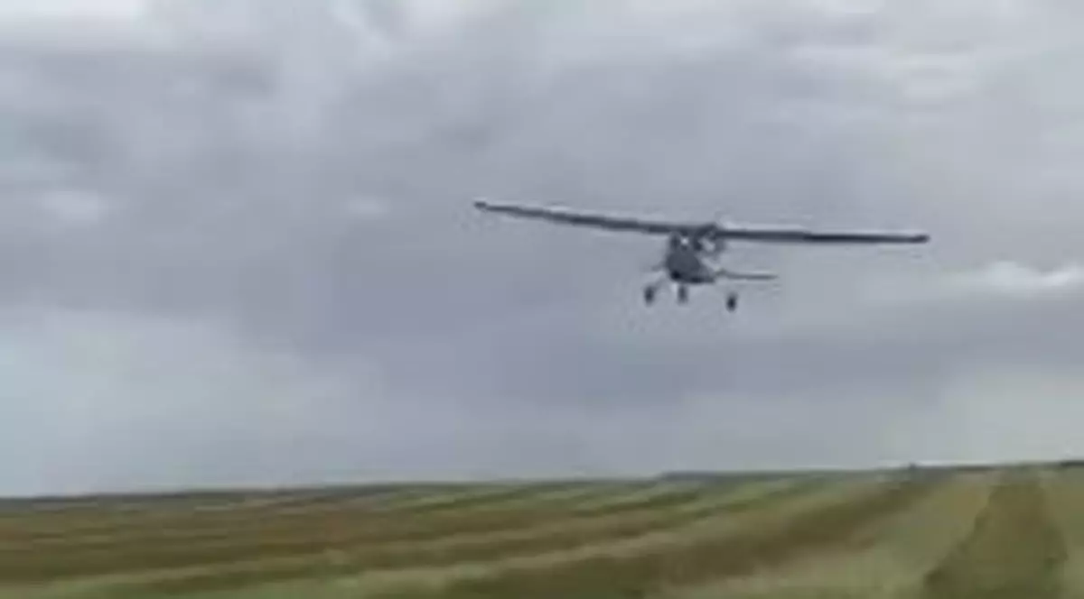 sandvis aruncat din avion