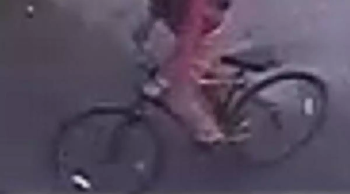 O adolescentă de 14 ani a fost violată în plină zi, într-un parc din Londra