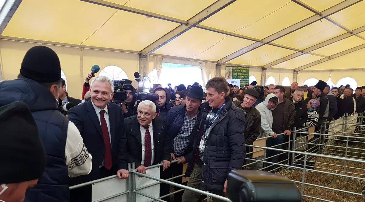 Dragnea și Daea, pe urmele oii, la Indagra