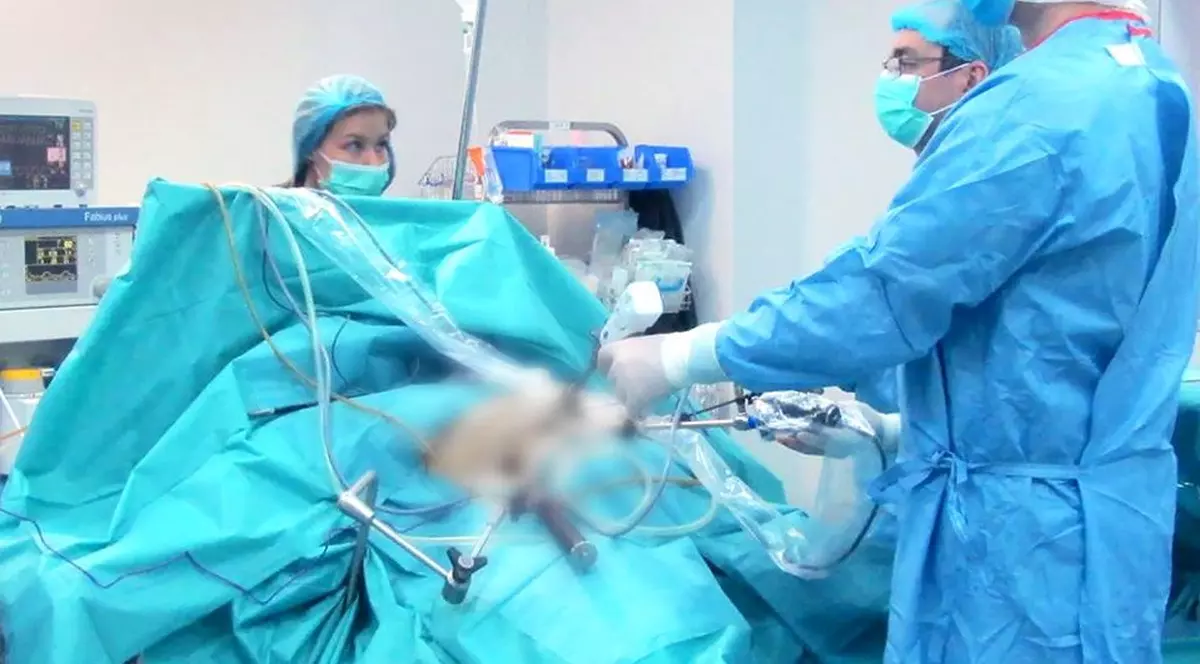 MedLife cumpără spitalul şi clinicile Polisano