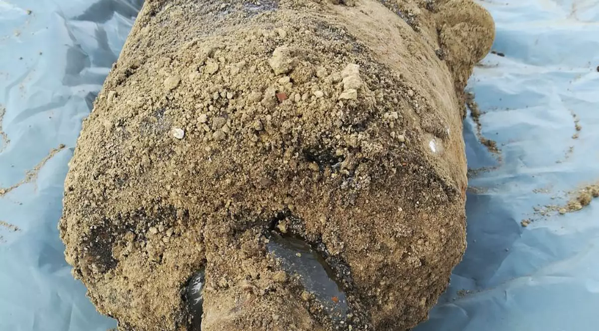 Două bombe de aviaţie descoperite de un localnic dintr-un sat din judeţul Galaţi