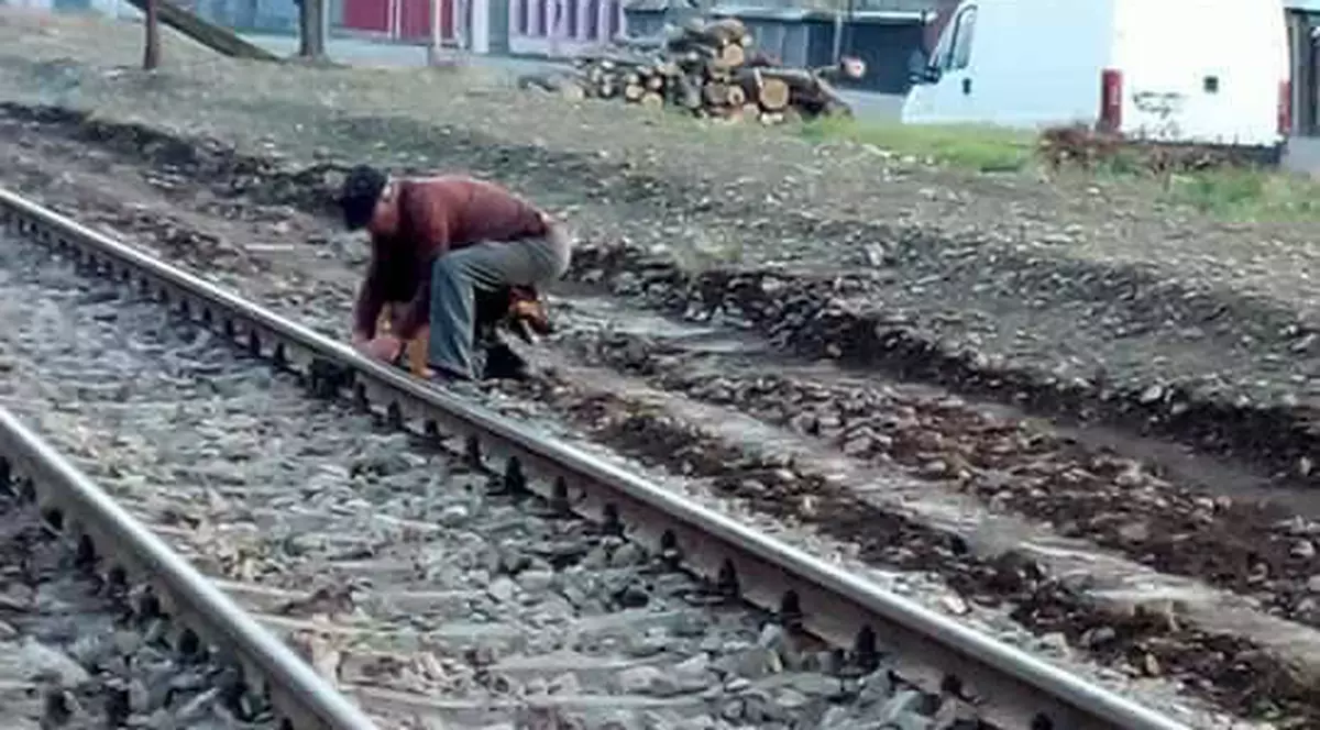 Câine legat cu lanțul de calea ferată de către un bătrân din Neamț