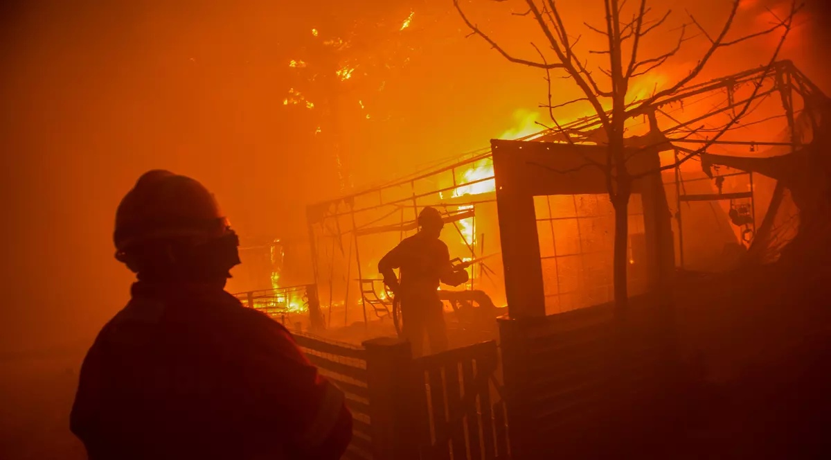 FOTO | Incendii devastatoare în Portugalia și Spania, soldate cu zeci de morți. Lider spaniol: Focul a fost provocat intenționat