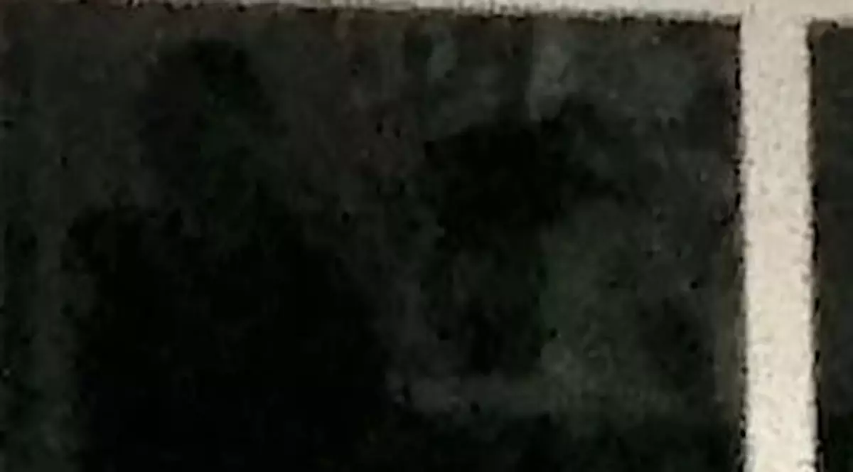 Casa unei femei este bântuită de 13 ani de o fantomă. Cum arată spiritul devenit “membru al familiei” | VIDEO