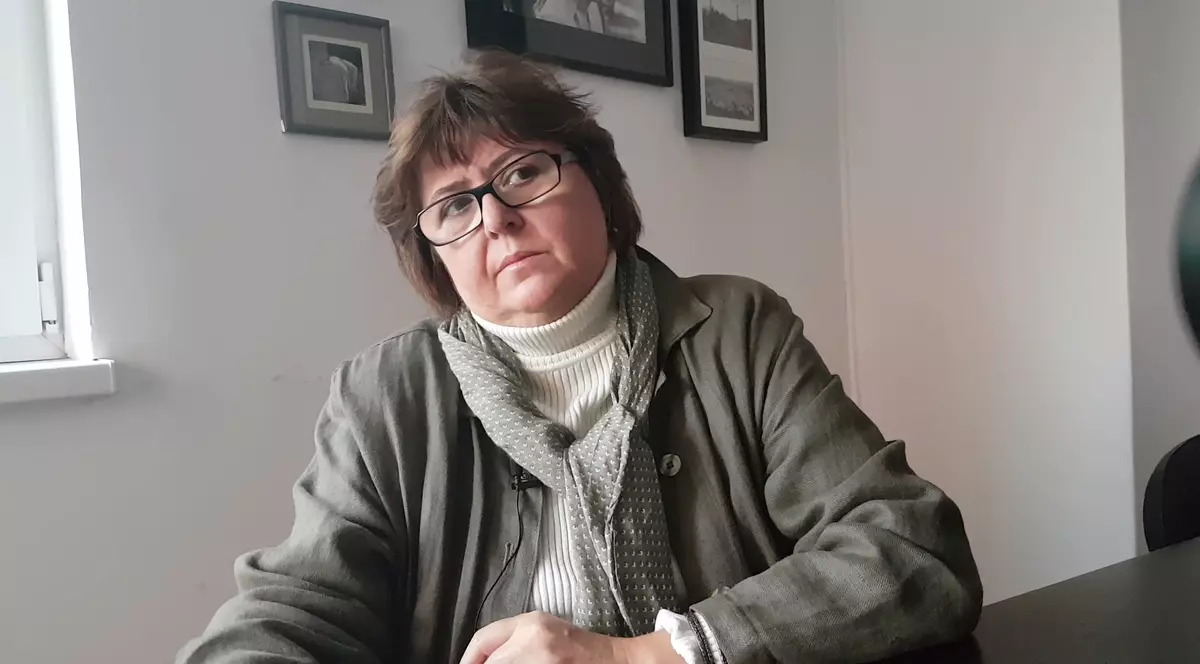 Alina Mungiu-Pippidi îl apără pe Stelian Ion și spune că președintele Iohannis „se spală pe mâini ca Pilat din Pont”