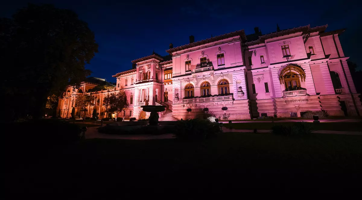 Palatul Cotroceni, luminat în roz