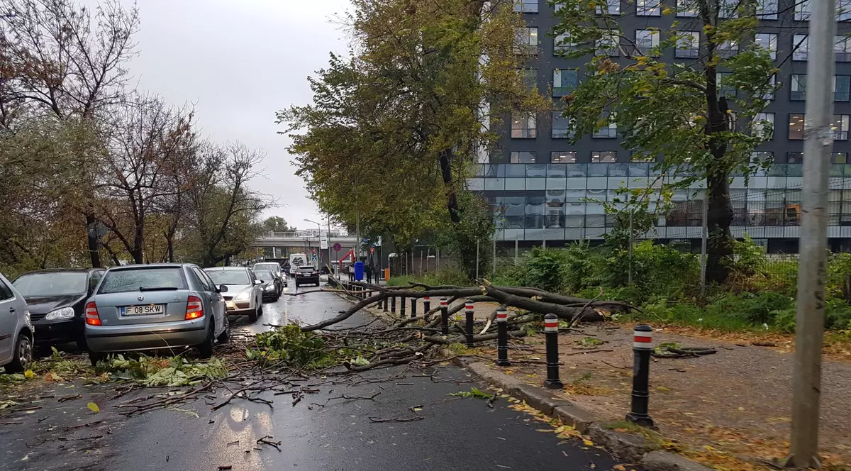 Bilanțul furtunii din București.