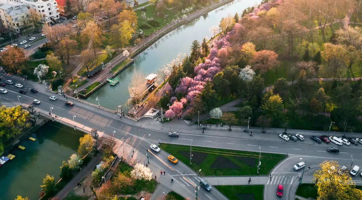 Apartamente de vânzare în Timișoara