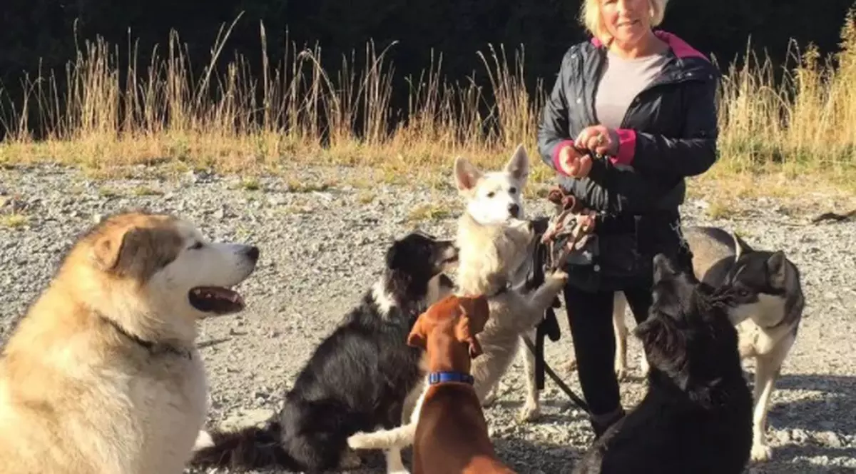 O femeie din Canada a fost salvată de câini, după ce s-a rănit în timpul unei plimbări. A fost găsită trei zile mai târziu