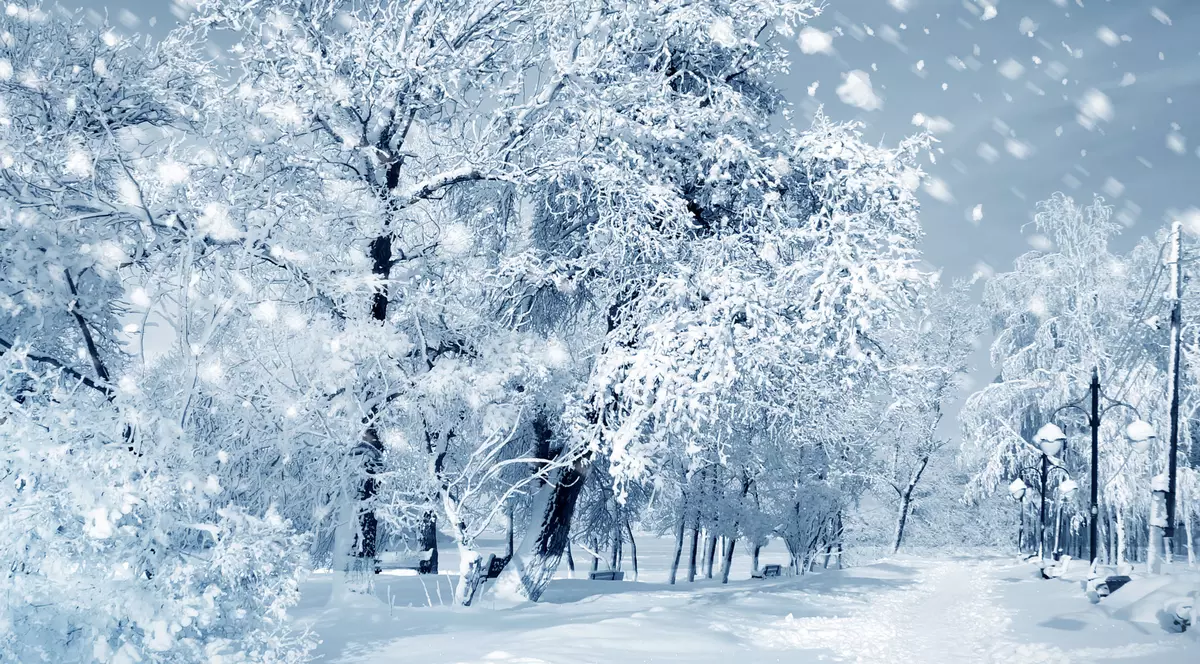 Horoscopul iernii 2017-2018