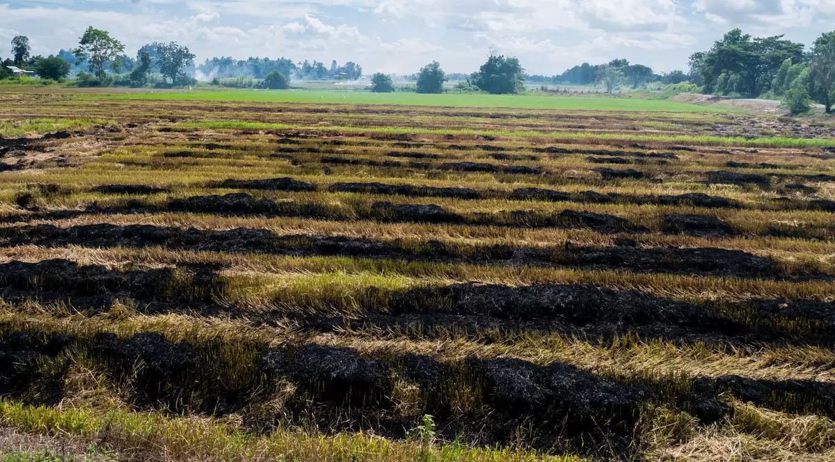 impozitul pe terenul agricol nelucrat