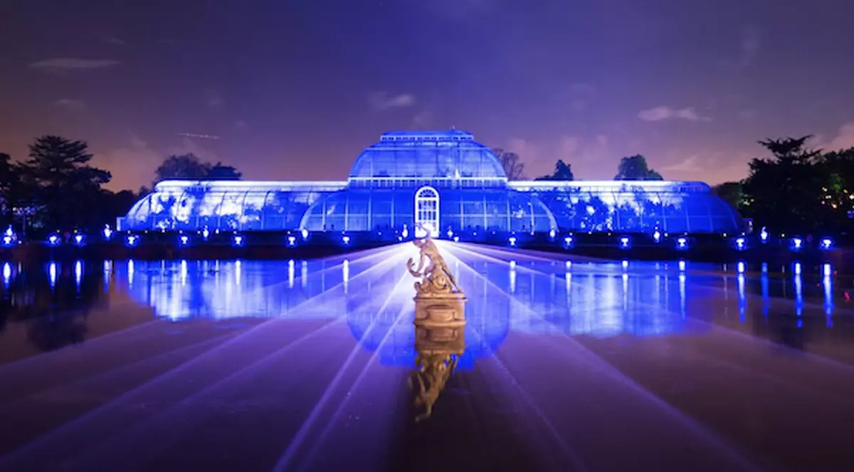 VIDEO VIRAL | Tărâmul feeric din grădina botanică din Londra. Cum a fost decorată grădina Kew pentru sărbătorile de iarnă