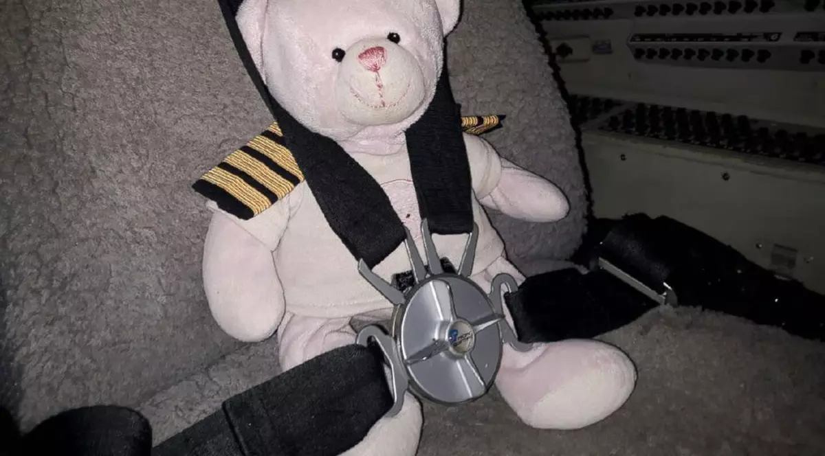 Un ursuleț de pluș a călătorit sute de kilometri