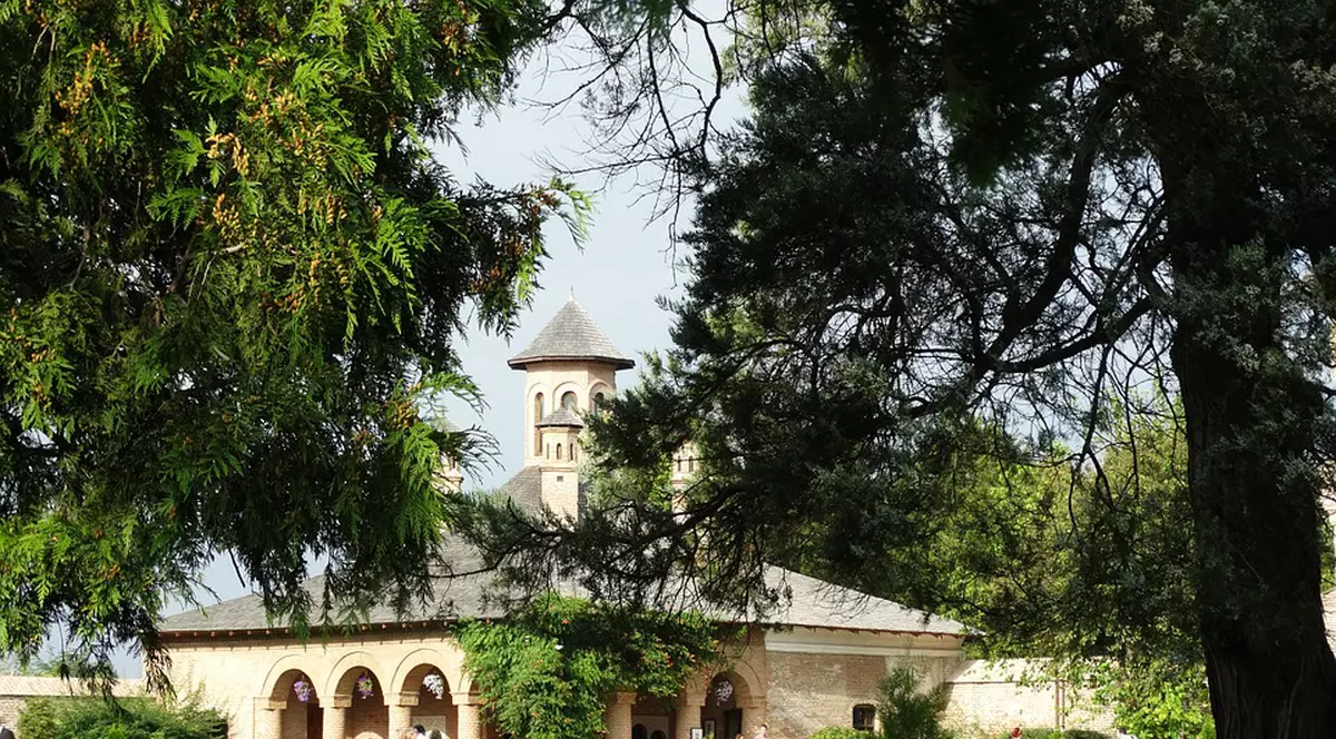 De ce să cumperi o casă în Mogoșoaia